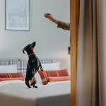 Adults Hotel apartamentowy