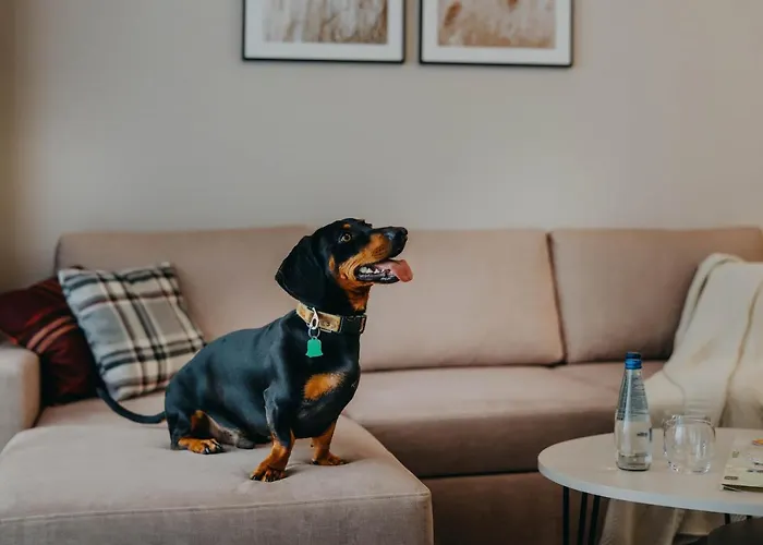 Hotel apartamentowy Adults 4*