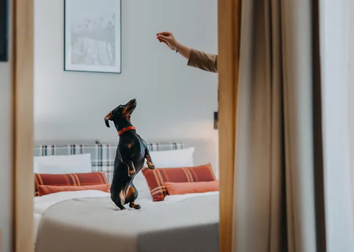 Adults Hotel apartamentowy